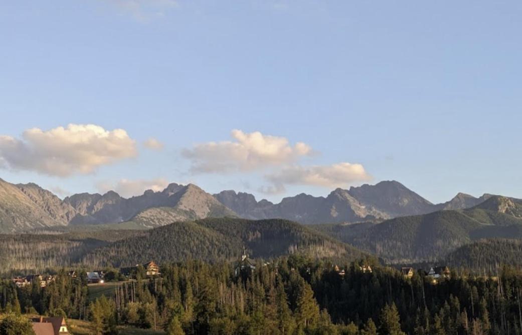 Apartament Zakopane Willa Hrube Parter Z Tarasem I Kominkiem Exteriér fotografie